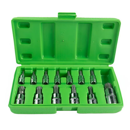 ŽVAIGŽDINIŲ "TORX" GALVUČIŲ-ANTGALIŲ KOMPLEKTAS, 13VNT.  DS1230